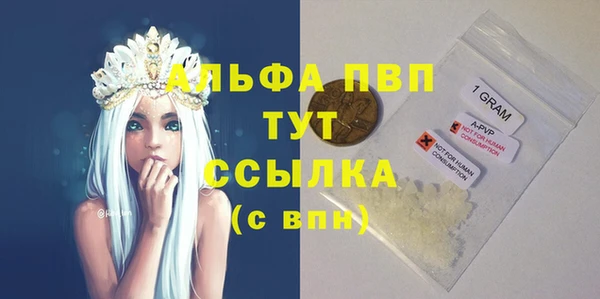 PSILOCYBIN Горнозаводск