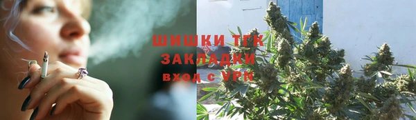 PSILOCYBIN Горнозаводск