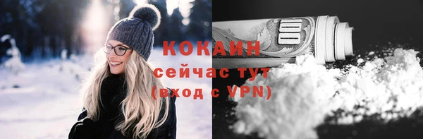 дживик Вязьма