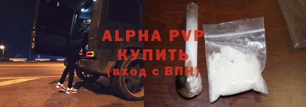 PSILOCYBIN Горнозаводск