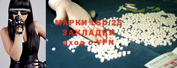 PSILOCYBIN Горнозаводск