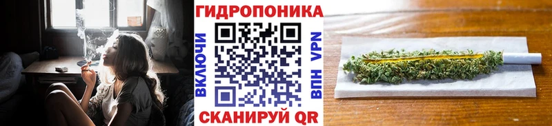 Бошки марихуана сатива  Купить где  Мариинск 